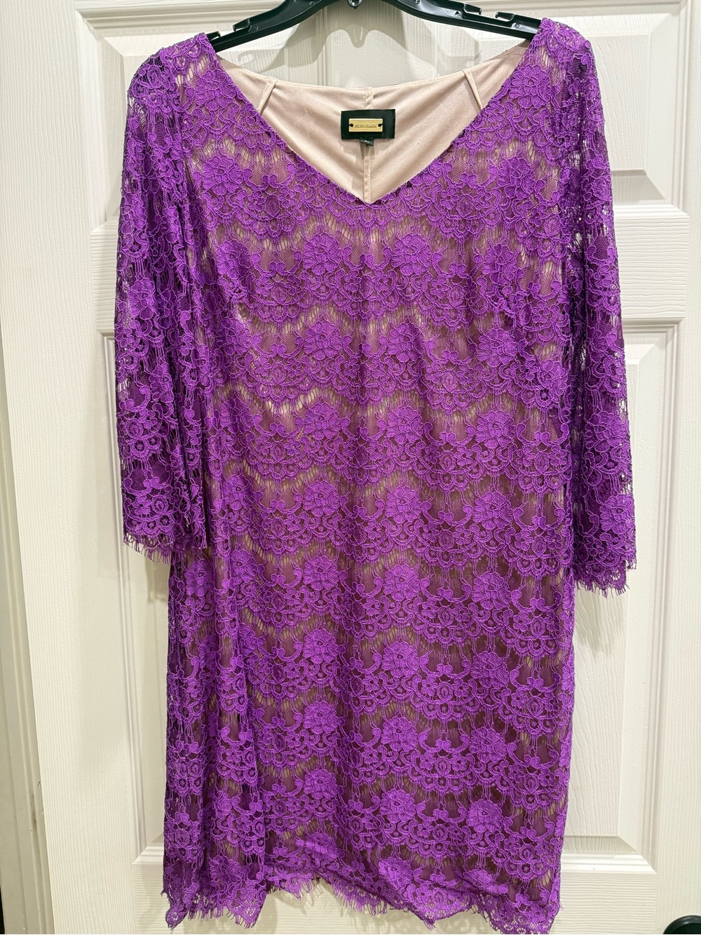 Purple Lace Overlay Dress with Nude Lining - Alexia Admore
